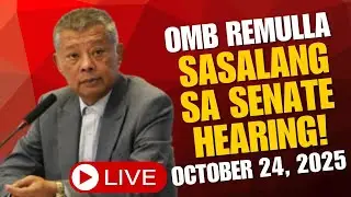 OMBUDSMAN BOYING REMULLA SASALANG SA SENATE HEARING LIVE! OCTOBER 24, 2025