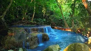 Calming Tropical rainforest waterfall in Thailand. Nature ASMR