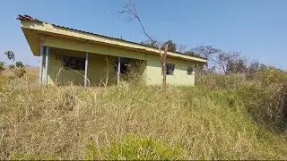 Neto vem a óbito após tomar chá feito por sua avó