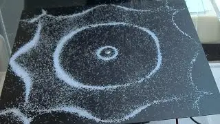 149 Chladni Plate