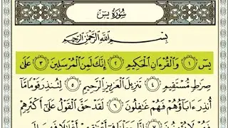 𝐒𝐮𝐫𝐚𝐡 𝐘𝐚𝐬𝐞𝐞𝐧 (سورہ یٰس) 𝐇𝐞𝐚𝐫𝐭 𝐓𝐨𝐮𝐜𝐡𝐢𝐧𝐠 𝐑𝐞𝐜𝐢𝐭𝐚𝐭𝐢𝐨𝐧 📚🍃