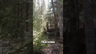 What to expect when hiking the Pukaskwa Coastal Trail!