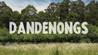 A Day in the Dandenongs
