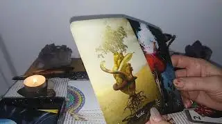 LUNA NOUA CAPRICORN !!! SFATURI, TEME, REVELATII SI ETALARE GENERALA