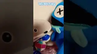 불로와트란에음식대결