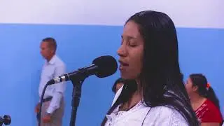 Os Meus Tesouros - Solo