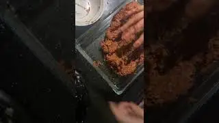 KAYSERİNİN MEŞHUR SUCUK İÇİ TARİFİ #sucuk #food #tarif #keşfet #keşfetbeniöneçıkar #pratiktarifler 