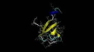 SH3 Domain