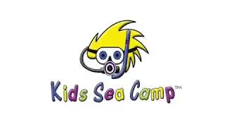 Kids Sea Camp, Roatan in Summer of 2018