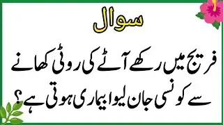 Top Islamic QuestionsAnswers - Islamic Puzzles-Islamic Sawal Jawab-UrduQuiz Islamic Quiz | Gk