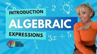Introduction to Algebraic Expressions | 6th Grade Math