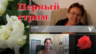 Мой первый #стрим