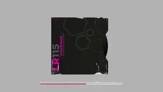 Lizz V - Voicemail (Neila Edel Remix) - Loose Records - Techno Raw Deep Hypnotic 2025