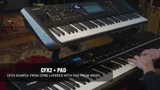 Bất ngờ với chất âm Yamaha CP88 sau bản cập nhật v2.0