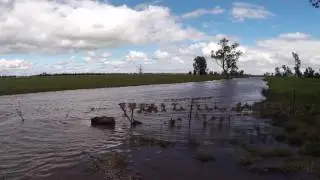 Flooding Around Parkes NSW, Australia, Part II