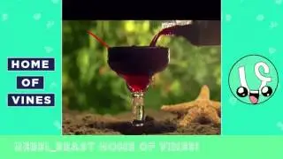 Donald J. Trump Vine's