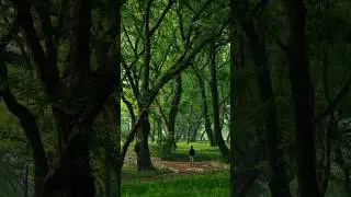The Green Lens: Save the Planet.