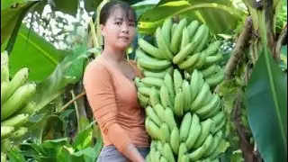 Bananas 🍌 harvest and sale in rural market.