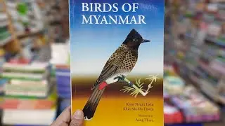 BIRDS OF MYANMAR