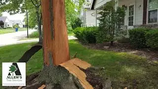 Allen's Tree Service Inc.-St. Charles County Missouri-Knowledge by Kevin #2- Call 636-332-5535