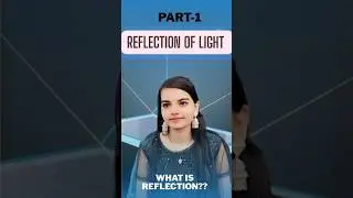 Reflection of Light Explained in 1 Minute | Why We Can See Anything! | Class 10 Physics Part 1