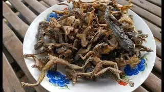 Frogs Fry- the craziest food ever !!