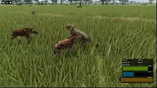 Hyenas Hunting Zebra and Killing Predators | Wild Savannah
