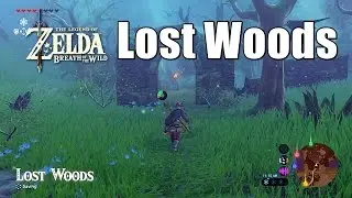 How to get through the Lost Woods in Zelda Breath of the Wild
