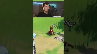 Amber.exe has stopped working