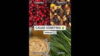 #ToxicFoodsForDogs #DogHealthTips #DogSafety #PetSafety #DogNutrition #ProtectYourDog #DogWellness