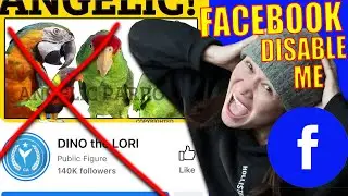 FACEBOOK HATES ME! 140K followers GONE! Facebook DISABLED my account for NO reason!