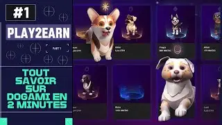 DOGAMI : PRESENTATION DU MEILLEUR PROJET GAMING