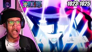 THIS IS INSANE! ZORO STOPS AN ATTACK BY 2 YONKOS! | One Piece Episode 1023-1025 REACTION