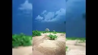 الجراري تراث قبيلة حمر