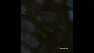 Linear Phase - Transition #2 [EDITSELECT142D]