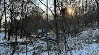 Traditional Bow Hunt Iowa - A cold one but I got in with a bunch of deer!!