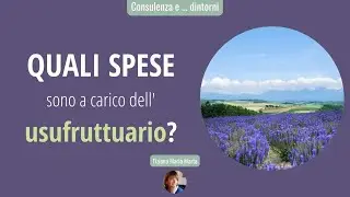 Nuda proprietà ed Usufrutto: come si ripartiscono le spese