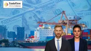 IEA vs OPEC, Red Sea Boosts, US Cold Snap, China Exports Dip, Gold Rises, EU Wheat Cut!