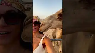Epic Abu Dhabi Desert Safari: Dune Bashing, BBQ & Live Shows! 🌅🐪