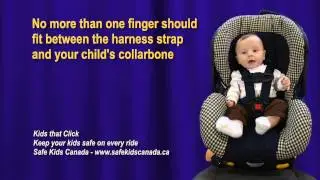 Update - Car Seat Regulations