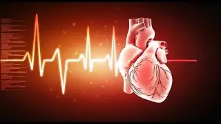 EKG for Beginners: Common Rhythm Variations + Graph paper