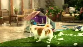 Hollard (TVC): Dogzilla