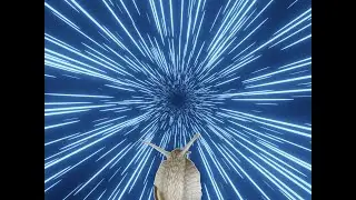Snail in space meme [video]