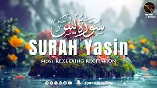Most soothing recitation of Surah Yaseen سورة يس | Quran is Calling
