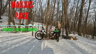 Maxxis Pace зимой.
