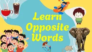 Opposites for Kids | Big and Small | Hot and Cold | Learn Opposites Words♨️🥶😊😔