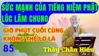 85. Hành Trì Pháp Niệm Phật| Thầy Thích Chân Hiếu.