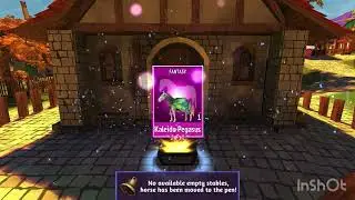 Champion chest!
