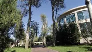 Alkyon Resort Hotel & Spa - Outdoor Areas & Gardens