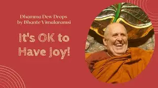 Dhamma Dew Drops: It's OK to Have Joy! | ft. Bhante Vimalaramsi